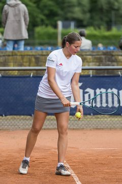 Bild 182 - BL DTV Hannover - BW Dresden Blasewitz : Ergebnis: 2:7